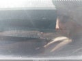 Photo 12 of 12 — 2006 Toyota Camry