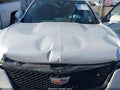 2024 Cadillac XT4 — photo 10 of 16 | VIN 1GYFZFR49RF225109