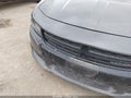 2016 Dodge Charger — photo 18 of 18 | VIN 2C3CDXCTXGH186351
