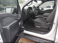 2024 Ford F-150 — photo 12 of 12 | VIN 1FTEW2LP6RKD16089