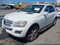 2010 Mercedes-Benz ML-Class — photo 2 of 11 | VIN 4JGBB5GB2AA601344