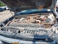 2024 Chevrolet Silverado 2500 — photo 9 of 16 | VIN 2GC4YMEY9R1208010