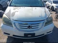 2009 Honda Odyssey — photo 20 of 20 | VIN 5FNRL387X9B006677