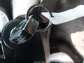 2014 Chevrolet Malibu — photo 11 of 12 | VIN 1G11E5SL3EF179853