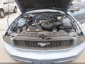 2006 Ford Mustang — photo 10 of 15 | VIN 1ZVFT80NX65256327