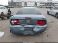 2006 Ford Mustang — photo 15 of 15 | VIN 1ZVFT80NX65256327