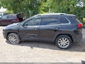 2016 Jeep Cherokee — photo 14 of 16 | VIN 1C4PJMDS6GW169025