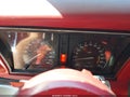 1979 Chevrolet Corvette — photo 7 of 18 | VIN 1Z8749S430133