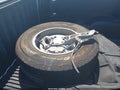 2022 Chevrolet Silverado 1500 — photo 12 of 22 | VIN 3GCNWAED2NG164715