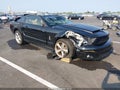 2009 Ford Mustang — photo 1 of 18 | VIN 1ZVHT82H495128315