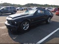2009 Ford Mustang — photo 2 of 18 | VIN 1ZVHT82H495128315