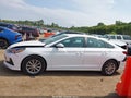2019 Hyundai Sonata — photo 14 of 16 | VIN 5NPE24AF9KH782363