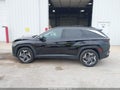 2023 Hyundai Tucson Hybrid — photo 14 of 16 | VIN KM8JECA15PU135522