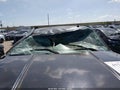 2008 Chevrolet Silverado 1500 — photo 6 of 16 | VIN 1GCEK19J58E181550