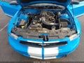 2010 Ford Mustang — photo 10 of 13 | VIN 1ZVBP8AN1A5117892