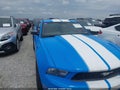 2010 Ford Mustang — photo 13 of 13 | VIN 1ZVBP8AN1A5117892
