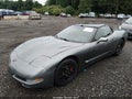 2004 Chevrolet Corvette — photo 2 of 17 | VIN 1G1YY22G945124741