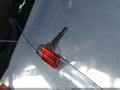1999 Toyota Tacoma — photo 11 of 11 | VIN 4TASM92N1XZ515147