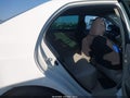 2012 Toyota Corolla — photo 8 of 16 | VIN 5YFBU4EE0CP027332