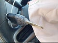 2010 Honda Civic — photo 11 of 20 | VIN 2HGFG1B6XAH538166