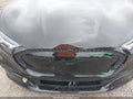 2021 Ford Mustang Mach-E — photo 19 of 19 | VIN 3FMTK1SS0MMA19688