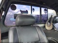 1990 Dodge W-Series — photo 8 of 16 | VIN 1B7KM26Z2LS671290