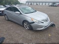 2013 Hyundai Sonata — photo 1 of 16 | VIN 5NPEC4ACXDH725711