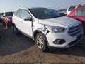 2019 Ford Escape — photo 1 of 20 | VIN 1FMCU9GD1KUA20389