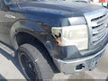 2014 Ford F-150 — photo 12 of 18 | VIN 1FTFW1ET4EKF36799