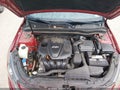 2013 Kia Optima — photo 10 of 12 | VIN 5XXGM4A7XDG252218