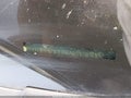 2020 Subaru WRX — photo 9 of 15 | VIN JF1VA1P66L8814961