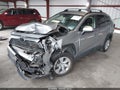 2019 Toyota RAV4 — photo 2 of 16 | VIN JTMK1RFVXKD029627