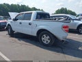 2013 Ford F-150 — photo 3 of 16 | VIN 1FTEW1CM9DFA68633