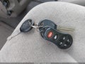 2002 Dodge Grand Caravan — photo 11 of 11 | VIN 2B4GP54L22R500940