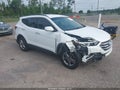 2017 Hyundai Santa Fe — photo 1 of 16 | VIN 5NMZU3LB3HH028073