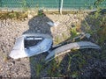 2025 Nissan Altima — photo 12 of 19 | VIN 1N4BL4BV1SN396547
