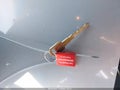 1998 Pontiac Grand Am — photo 11 of 16 | VIN 1G2NW52M5WC754654
