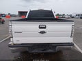2009 Ford F-150 — photo 17 of 18 | VIN 1FTPW14V79FB03810