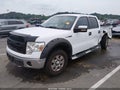 2009 Ford F-150 — photo 2 of 18 | VIN 1FTPW14V79FB03810