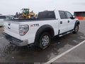 2009 Ford F-150 — photo 4 of 18 | VIN 1FTPW14V79FB03810