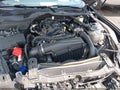 2024 Ford Mustang — photo 10 of 15 | VIN 1FAGP8UH3R5112905