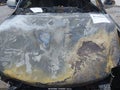 2009 Cadillac Escalade ESV — photo 10 of 10 | VIN 1GYFK26259R155624