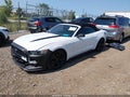 2017 Ford Mustang — photo 2 of 16 | VIN 1FATP8UHXH5304514
