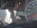 2014 Toyota Sienna — photo 16 of 17 | VIN 5TDKK3DCXES525015