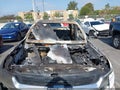 2016 Chevrolet Colorado — photo 10 of 15 | VIN 1GCGSBEA9G1309279
