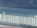 2006 GMC Sierra — photo 8 of 15 | VIN 1GTJK33D46F259174