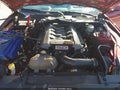 2015 Ford Mustang — photo 10 of 16 | VIN 1FA6P8CF4F5404702