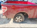 2014 Ford F-150 Lightning — photo 6 of 16 | VIN 1FTMF1CM9EKD95554
