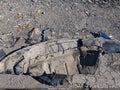 2025 Jeep Grand Cherokee L — photo 12 of 17 | VIN 1C4RJKBG0S8679816