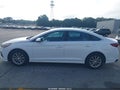 2019 Hyundai Sonata — photo 14 of 16 | VIN 5NPE24AF2KH760589